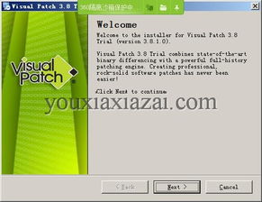 Visual Patch漢化版下載與補丁制作工具3.8.1的軟件開發(fā)及維護(hù)指南